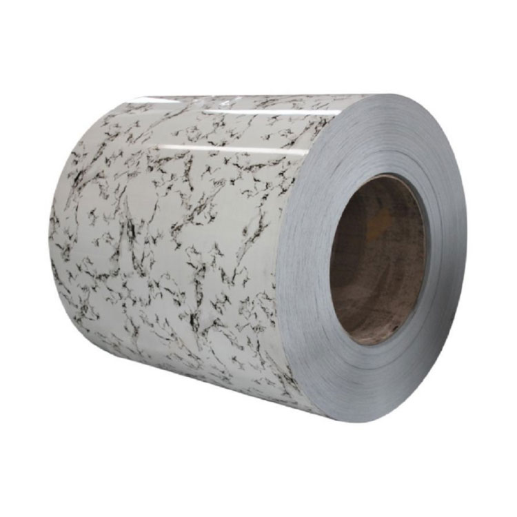 Color Coated Steel Coil 3005 6005 8017 9003 PPGI/PPGL Steel Coil
