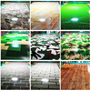 GI GL PPGI PPGL Steel Coil and Sheet