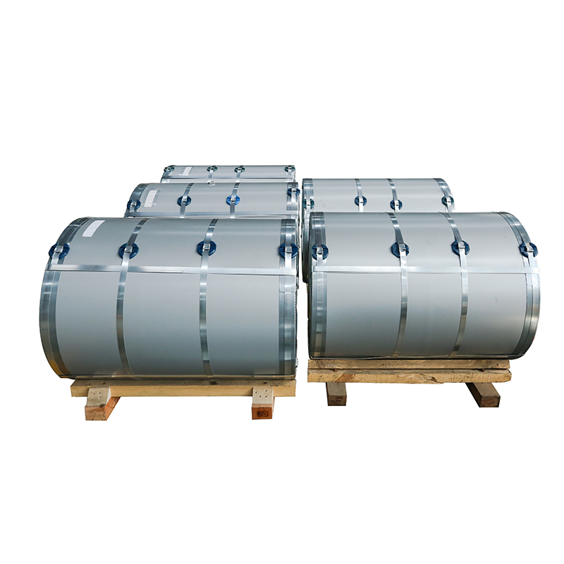 Hot Rolled Galvanized Sheet Coil/Plate