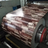 Prepainted Galvanized Steel Coil PPGI PPGL